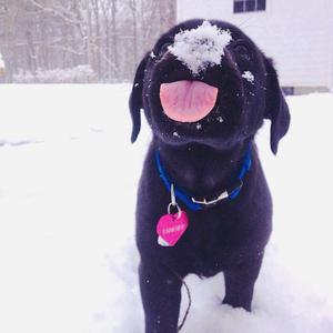 徐州镀锌钢绞线厂家用小马营销导航
